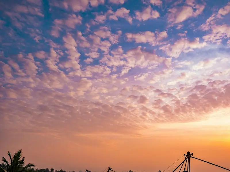 Chinese fishing nets on the Kochi backwaters at sunset