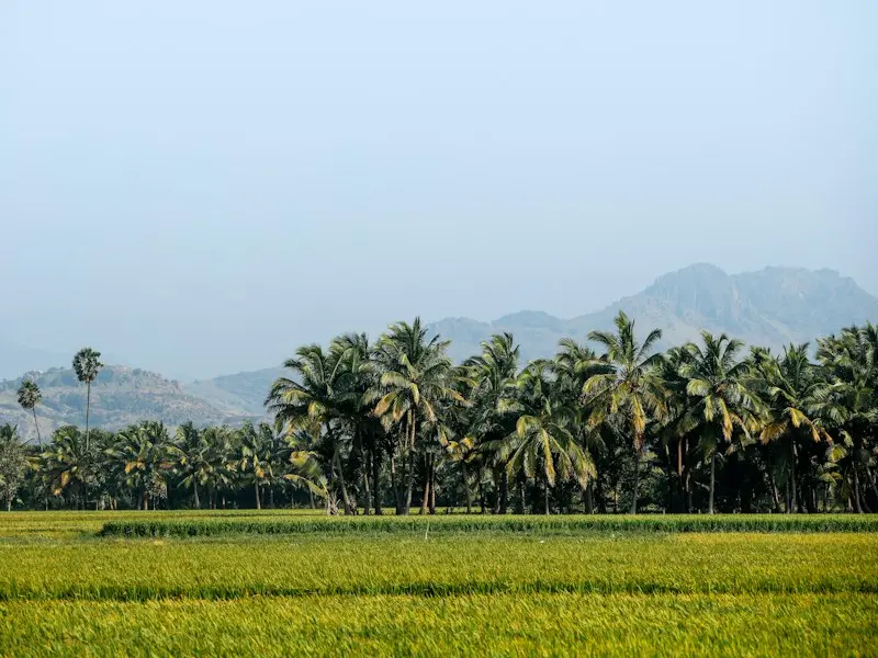 5.5 cents corner plot, Kakkanad, Kakkanad